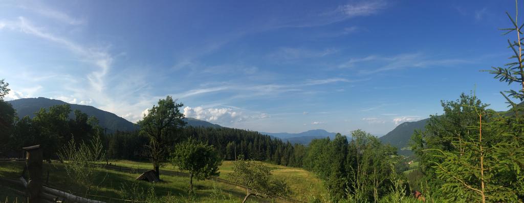 Turisticna Kmetija Toman Villa Gornji Grad Bagian luar foto