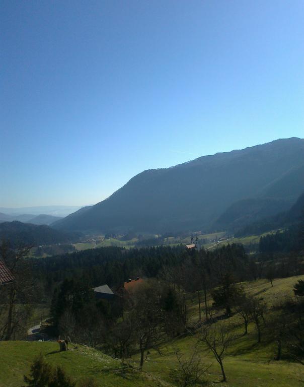 Turisticna Kmetija Toman Villa Gornji Grad Bagian luar foto