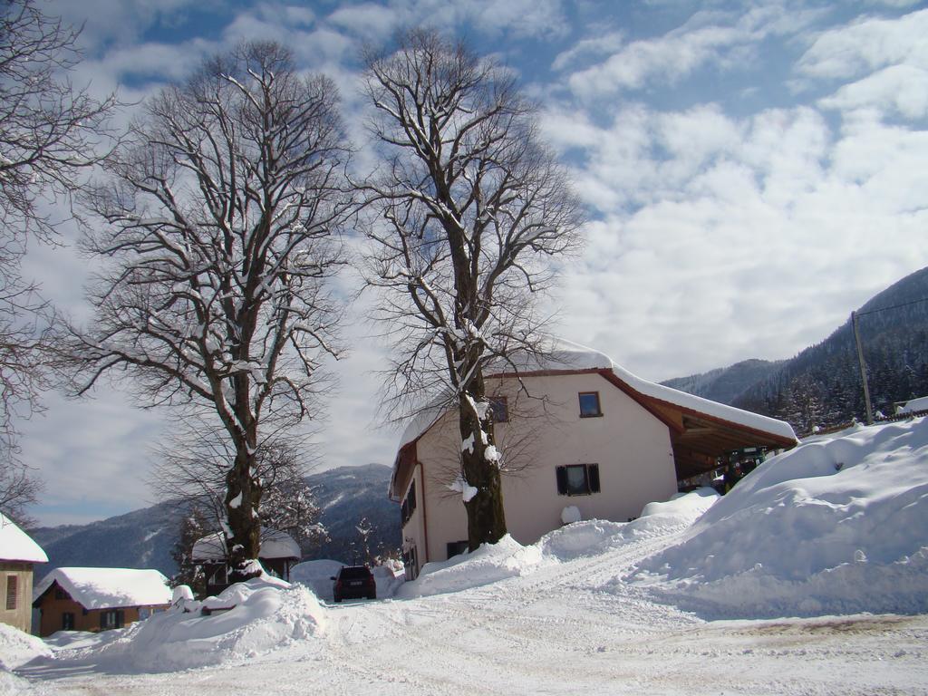 Turisticna Kmetija Toman Villa Gornji Grad Bagian luar foto