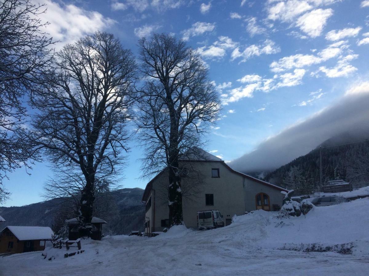 Turisticna Kmetija Toman Villa Gornji Grad Bagian luar foto