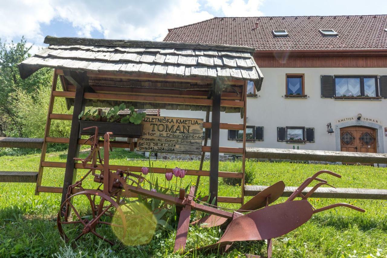 Turisticna Kmetija Toman Villa Gornji Grad Bagian luar foto