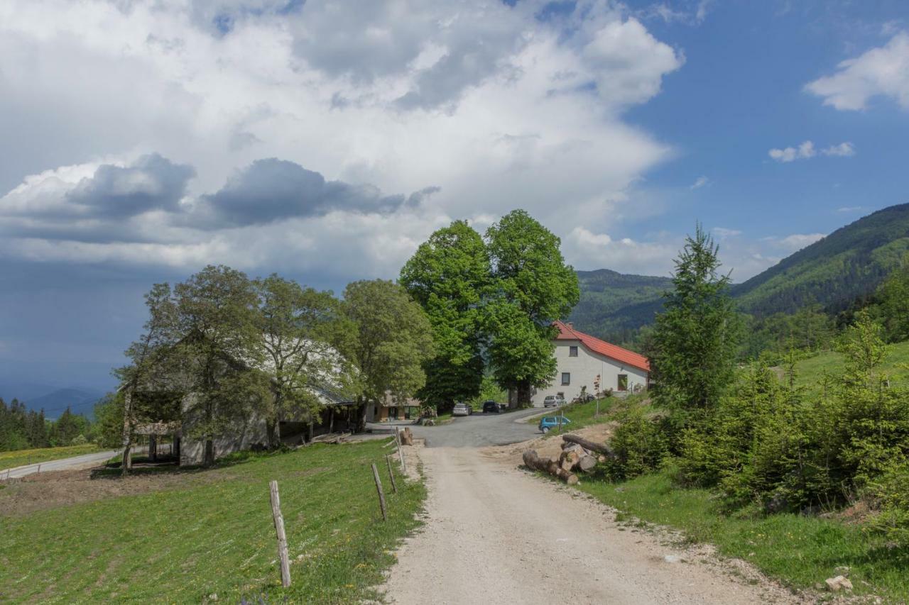 Turisticna Kmetija Toman Villa Gornji Grad Bagian luar foto