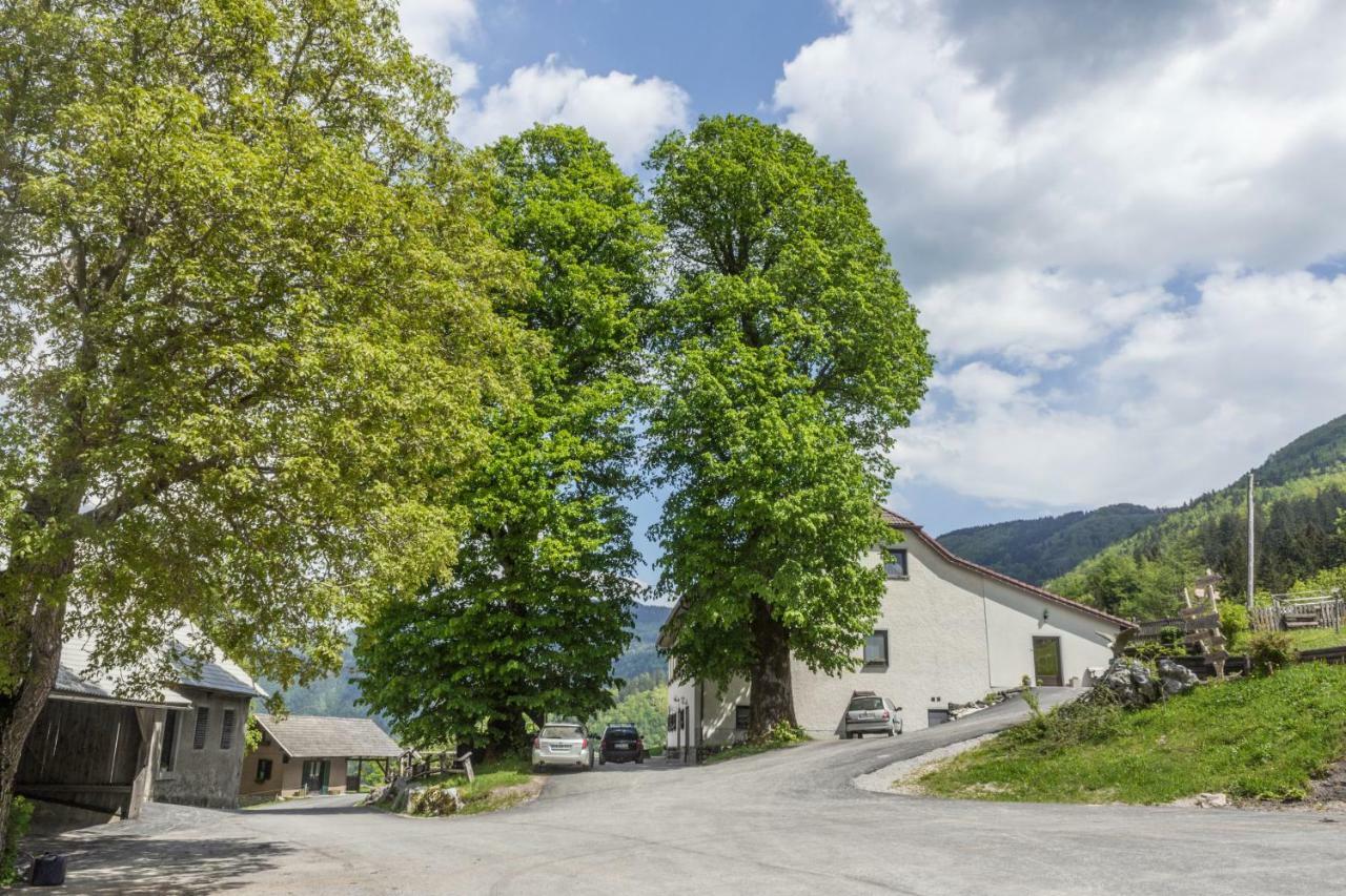 Turisticna Kmetija Toman Villa Gornji Grad Bagian luar foto