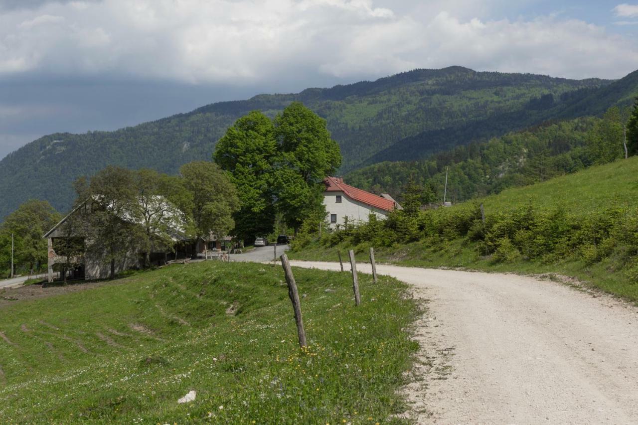 Turisticna Kmetija Toman Villa Gornji Grad Bagian luar foto